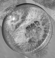 科学艺术作品-细菌与病菌的爆发