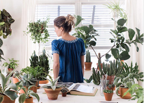 美国女插画师把家变成了“植物园”，每天从花草中醒来